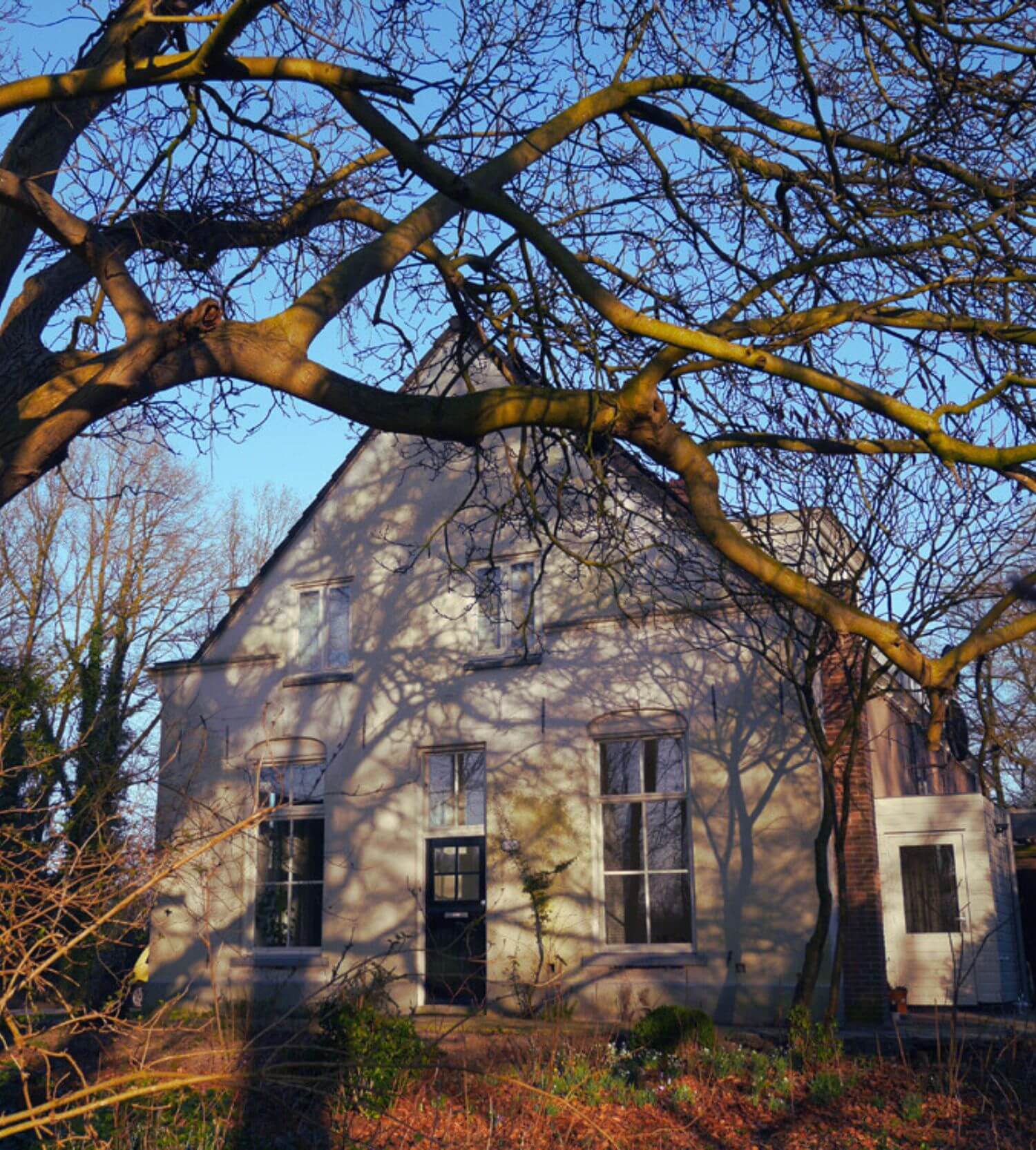 Heel-Huis-praktijk-groot-voor